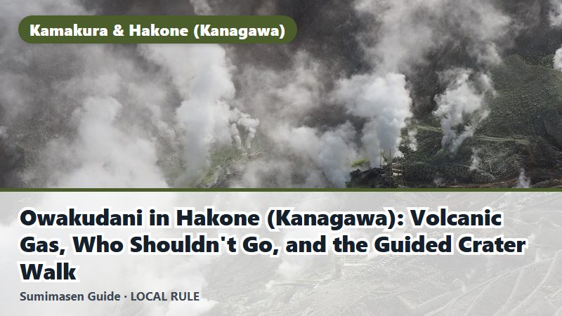 Owakudani in Hakone (Kanagawa): Volcanic Gas, Who Shouldn't Go, and the Guided Crater Walk
