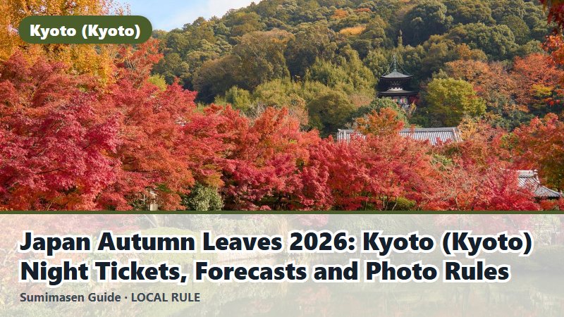 Japan Autumn Leaves 2026: Kyoto (Kyoto) Night Tickets, Forecasts and Photo Rules