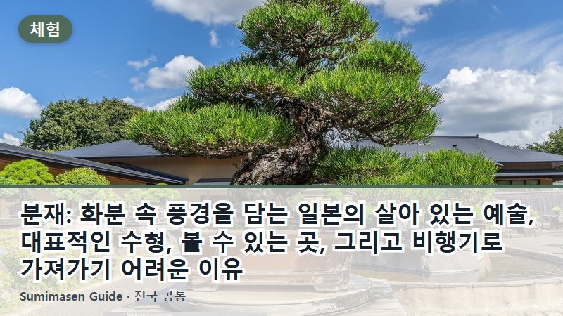 분재: 화분 속 풍경을 담는 일본의 살아 있는 예술, 대표적인 수형, 볼 수 있는 곳, 그리고 비행기로 가져가기 어려운 이유