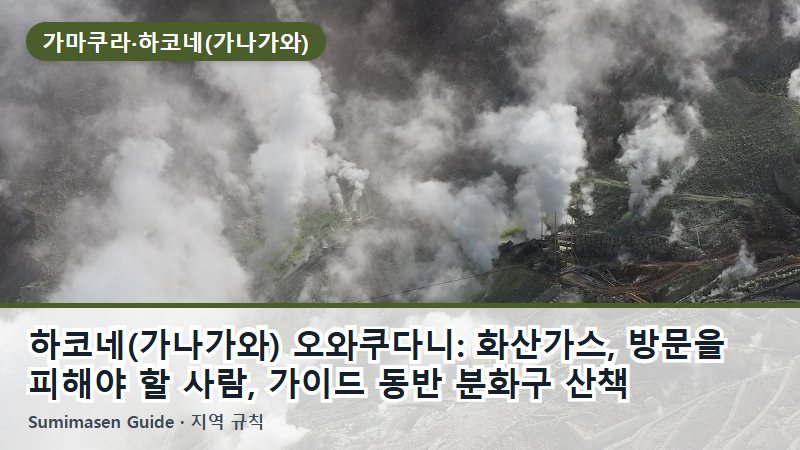 하코네(가나가와) 오와쿠다니: 화산가스, 방문을 피해야 할 사람, 가이드 동반 분화구 산책