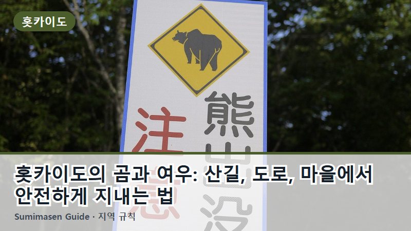 홋카이도의 곰과 여우: 산길, 도로, 마을에서 안전하게 지내는 법