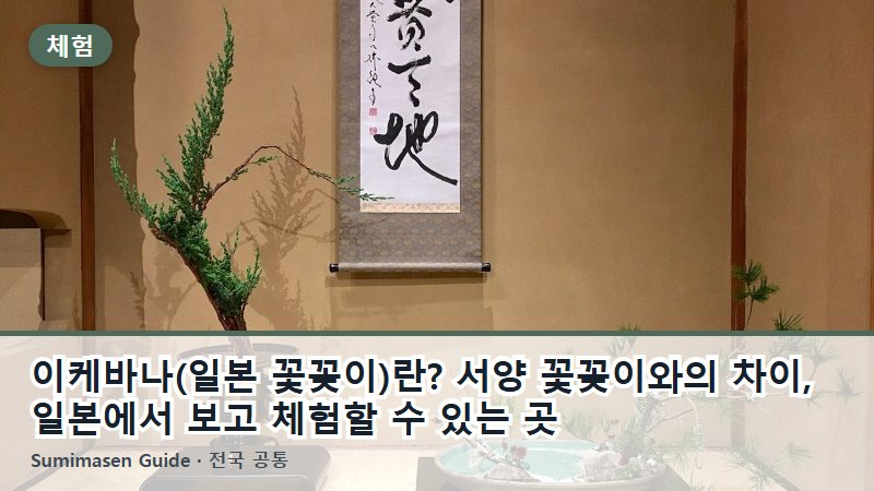 이케바나(일본 꽃꽂이)란? 서양 꽃꽂이와의 차이, 일본에서 보고 체험할 수 있는 곳