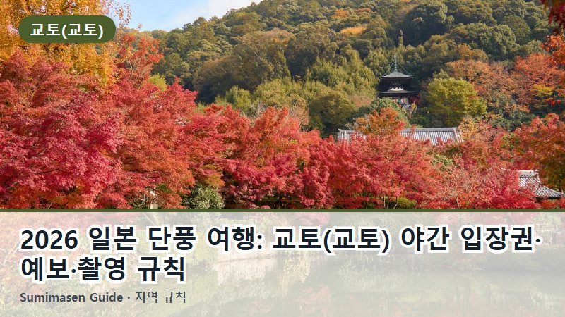 2026 일본 단풍 여행: 교토(교토) 야간 입장권·예보·촬영 규칙