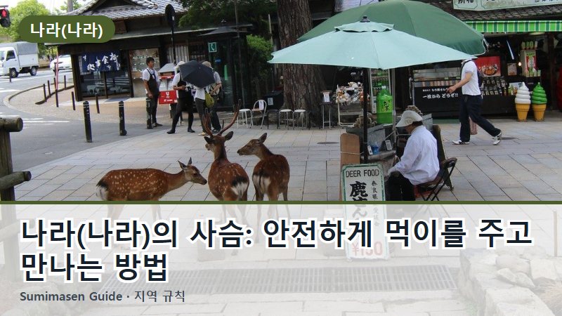 나라(나라)의 사슴: 안전하게 먹이를 주고 만나는 방법