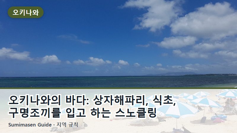 오키나와의 바다: 상자해파리, 식초, 구명조끼를 입고 하는 스노클링