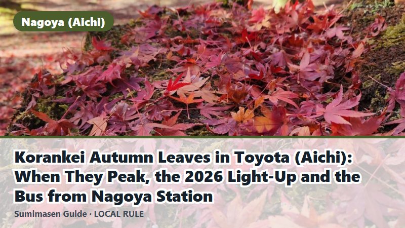 Korankei Autumn Leaves in Toyota (Aichi): When They Peak, the 2026 Light-Up and the Bus from Nagoya Station