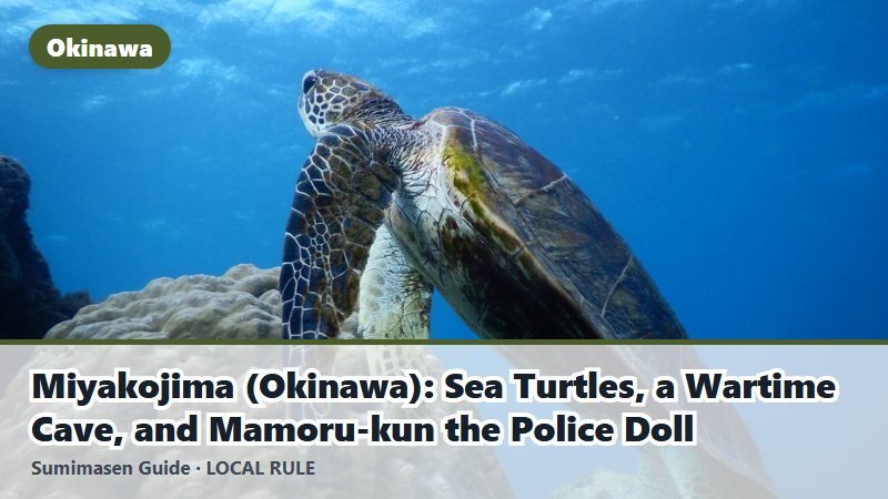 Miyakojima (Okinawa): Sea Turtles, a Wartime Cave, and Mamoru-kun the Police Doll