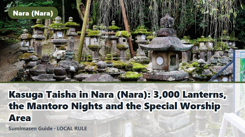 Kasuga Taisha in Nara (Nara): 3,000 Lanterns, the Mantoro Nights and the Special Worship Area