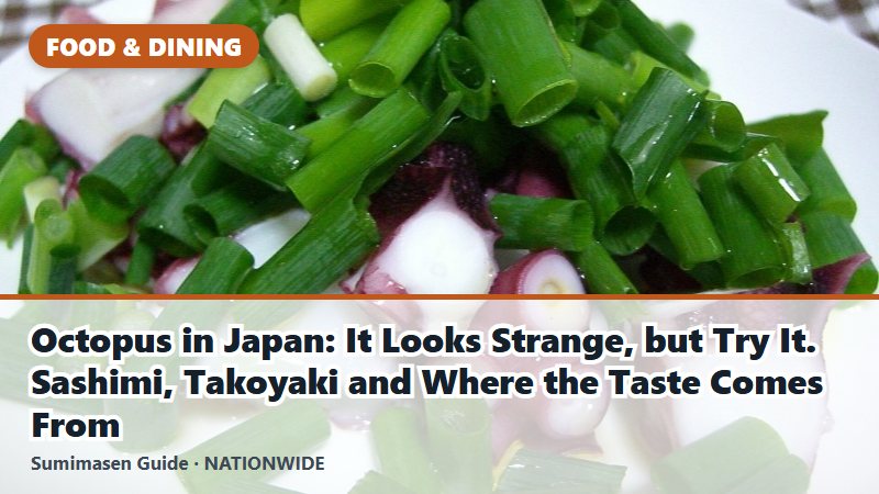 Octopus in Japan: It Looks Strange, but Try It. Sashimi, Takoyaki and Where the Taste Comes From