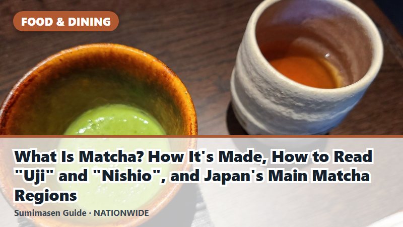 What Is Matcha? How It's Made, How to Read "Uji" and "Nishio", and Japan's Main Matcha Regions