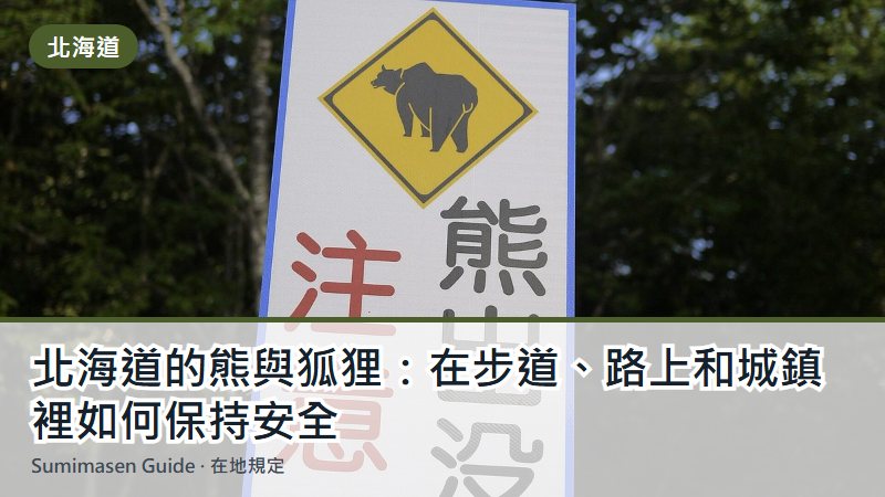 北海道的熊與狐狸：在步道、路上和城鎮裡如何保持安全