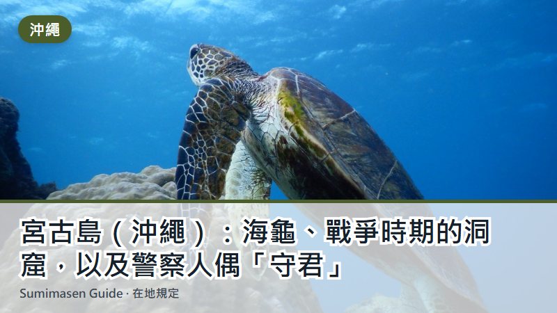 宮古島（沖繩）：海龜、戰爭時期的洞窟，以及警察人偶「守君」