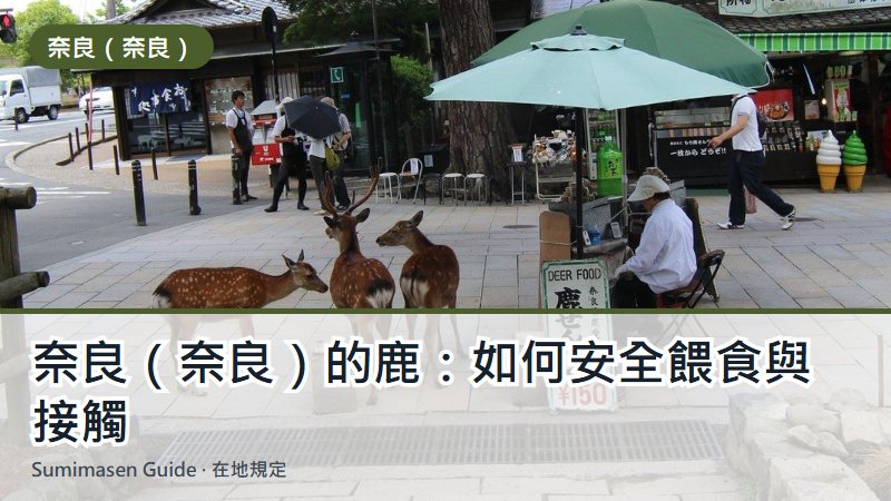 奈良（奈良）的鹿：如何安全餵食與接觸
