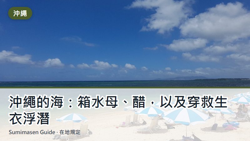 沖繩的海:箱水母、醋,以及穿救生衣浮潛