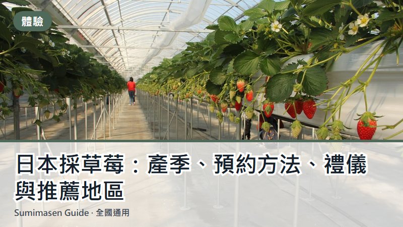 日本採草莓：產季、預約方法、禮儀與推薦地區