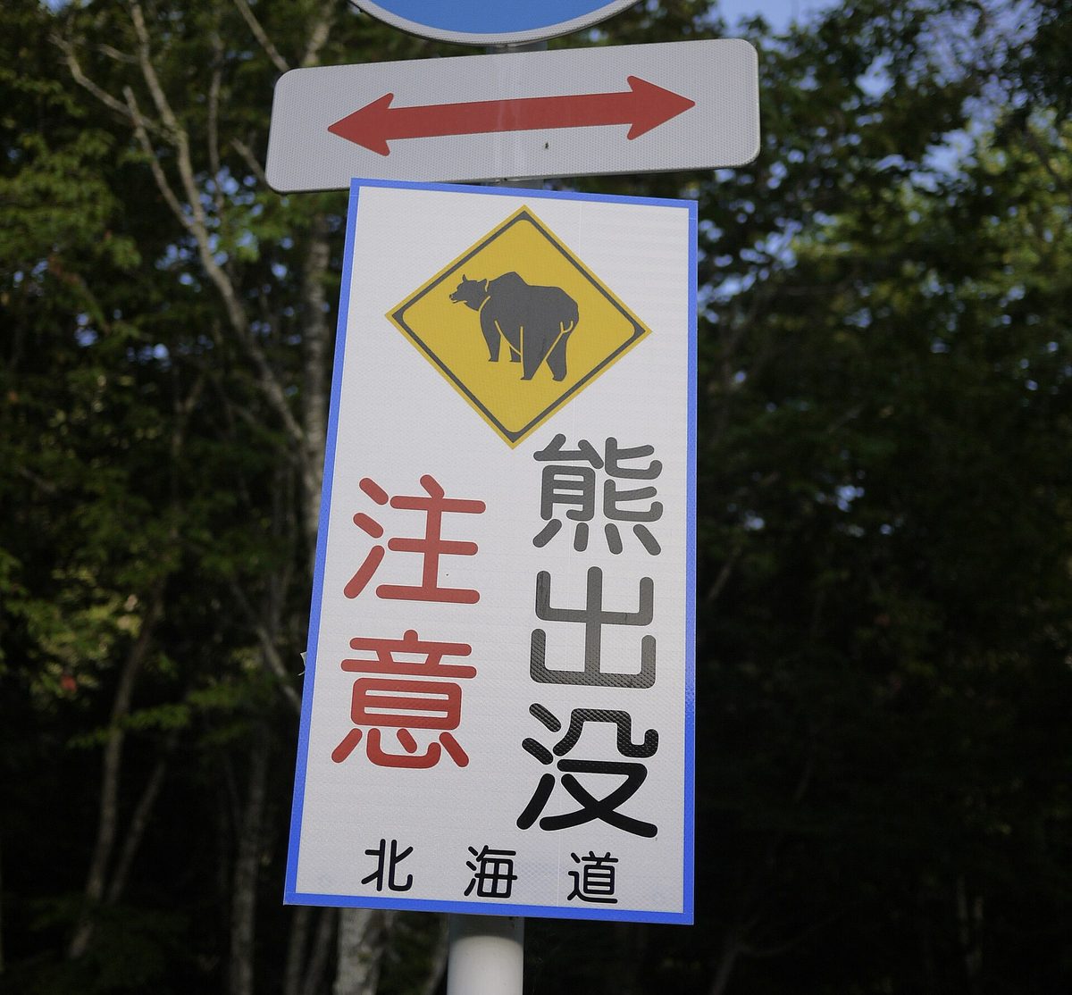 Yellow road sign with a bear silhouette warning that bears appear in the area, Hokkaido