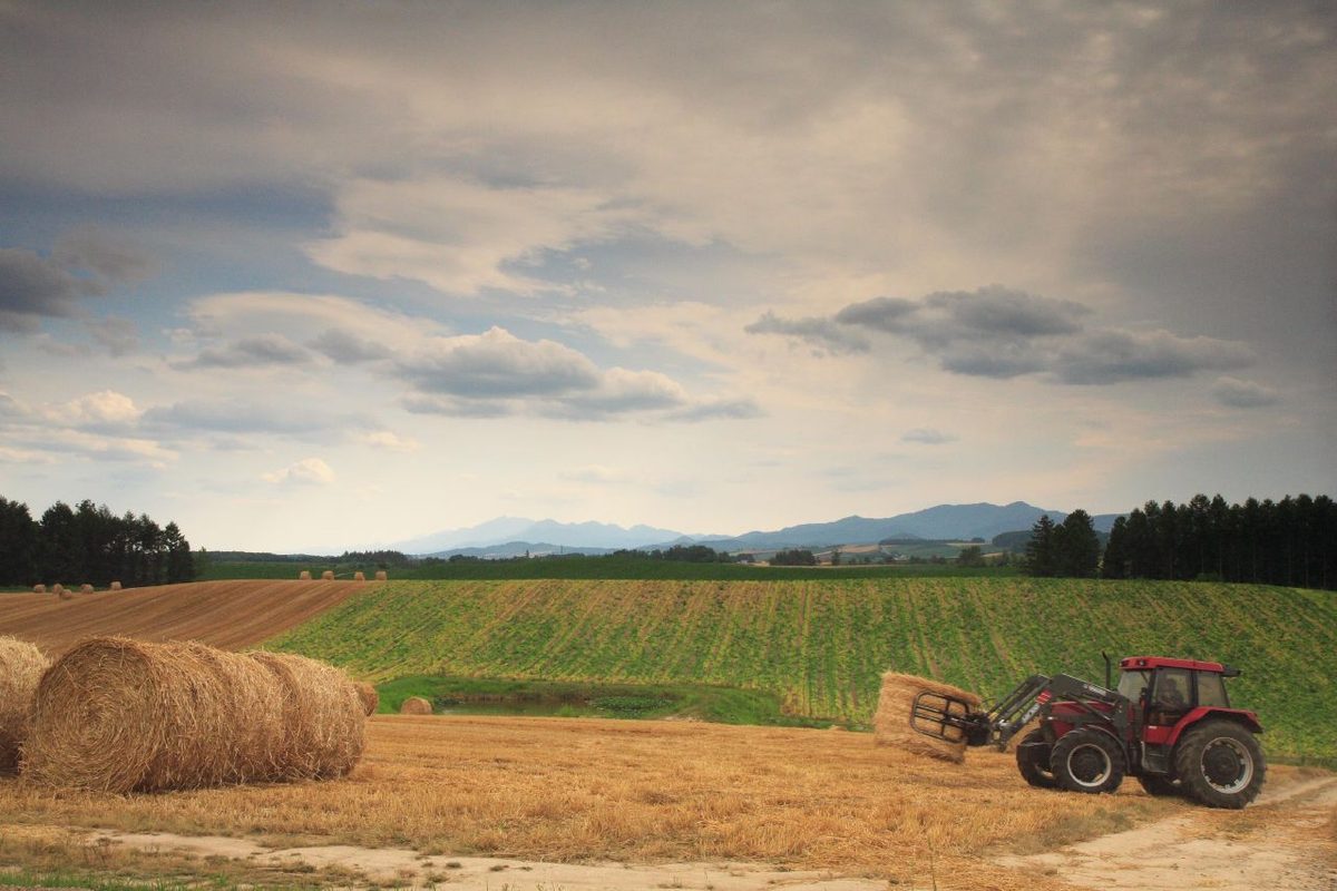 Straw bales and a tractor on a farm field in Biei (Hokkaido)