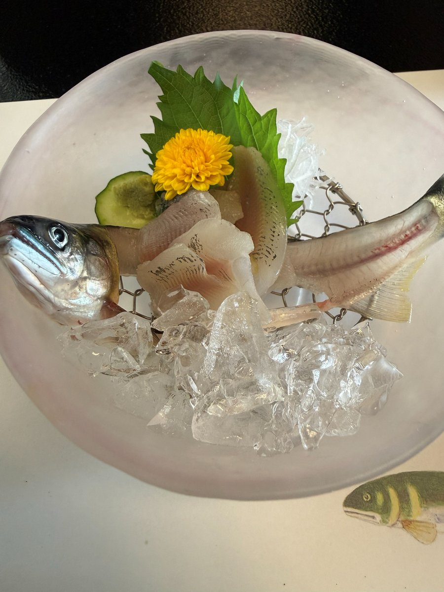 A frosted glass bowl of ice with thin slices of ayu, the fish's head and tail, a shiso leaf, a yellow chrysanthemum flower and a slice of cucumber