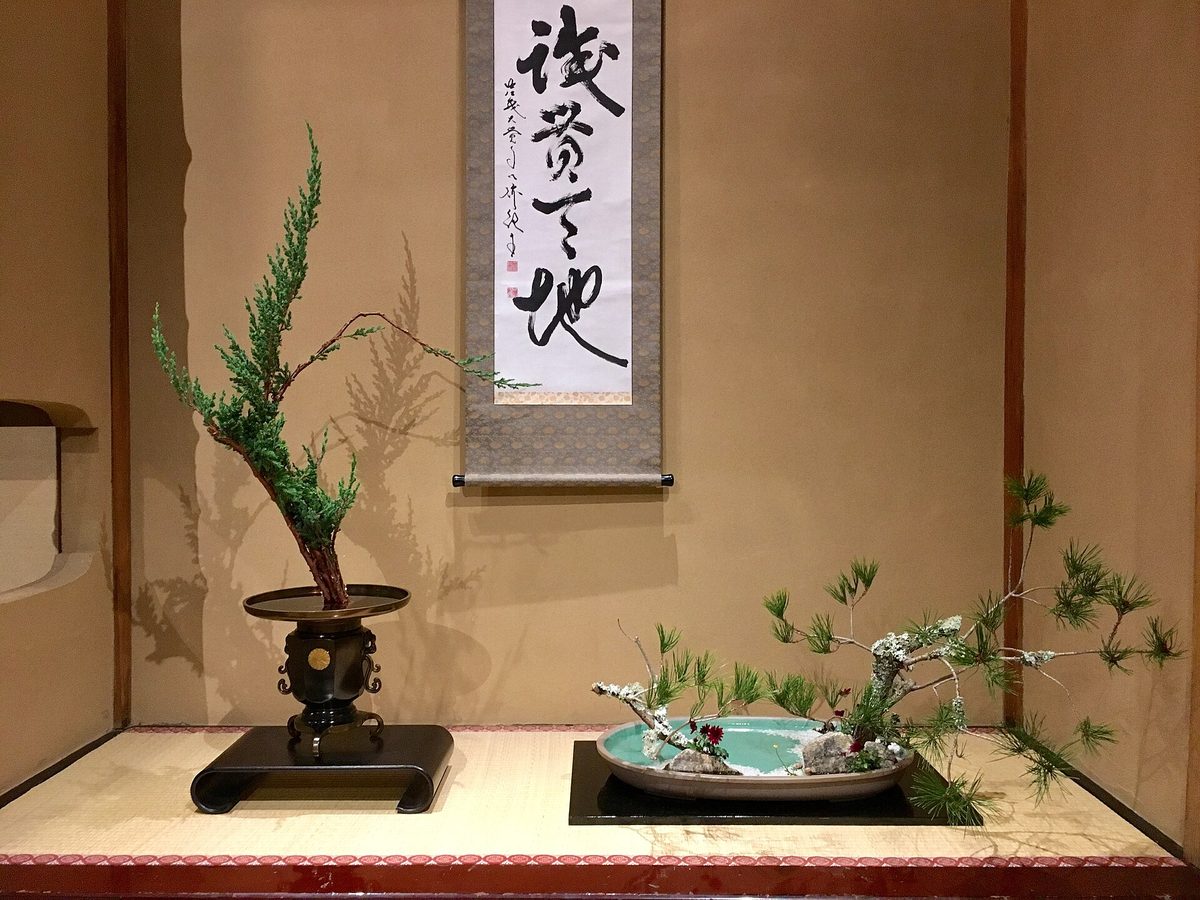 Ikebana in an alcove: a leaning evergreen branch in a dark bronze vessel and pine branches in a shallow basin, below a hanging scroll