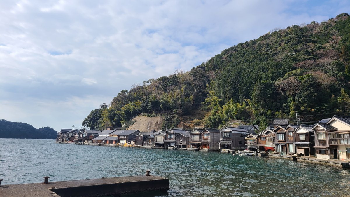 A row of wooden houses built right at the water's edge along a calm bay, with a green hill behind and a seagull in the sky