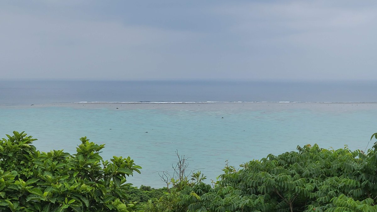 Looking out from green treetops over a calm turquoise lagoon to a line of waves on the reef and the open sea