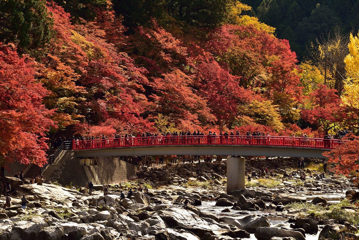 A red-railed bridge crossing a rocky river, with red and orange maples covering the hillside behind it
