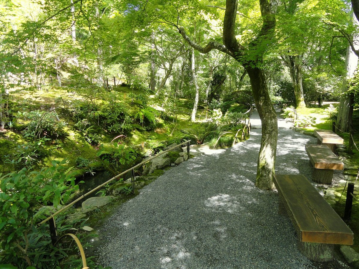京都嵐山天龍寺綠意盎然的庭園，碎石小路穿過楓樹和青苔，旁邊放著木長椅