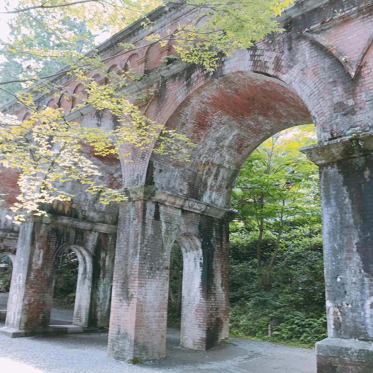A row of old red-brick arches of an aqueduct among green and yellow trees