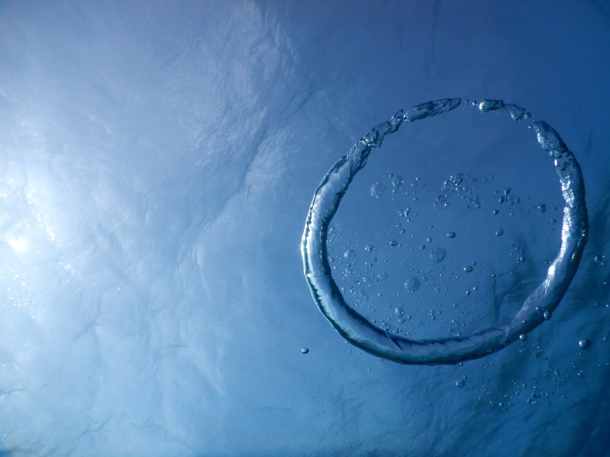 A ring of air bubbles rising toward the sunlit surface of the sea
