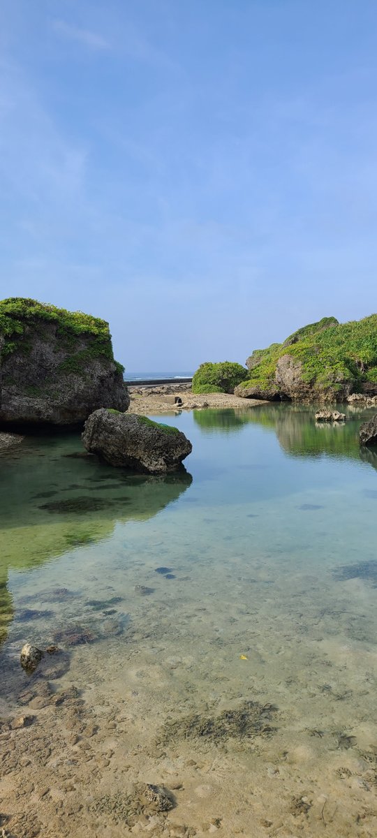 Rocks covered in green plants around a calm, clear cove with a pebbly shore under a blue sky