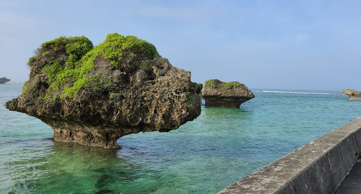 A large rock topped with green plants, narrow at its base, standing in clear turquoise water beside a concrete seawall on Ogami Island