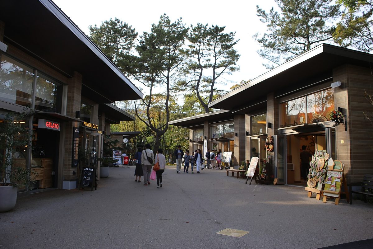 A paved lane at Maker's Pier lined with low wooden shop buildings and pine trees