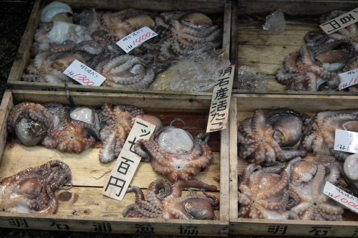 Wooden trays of fresh octopus with handwritten price signs at a fish shop