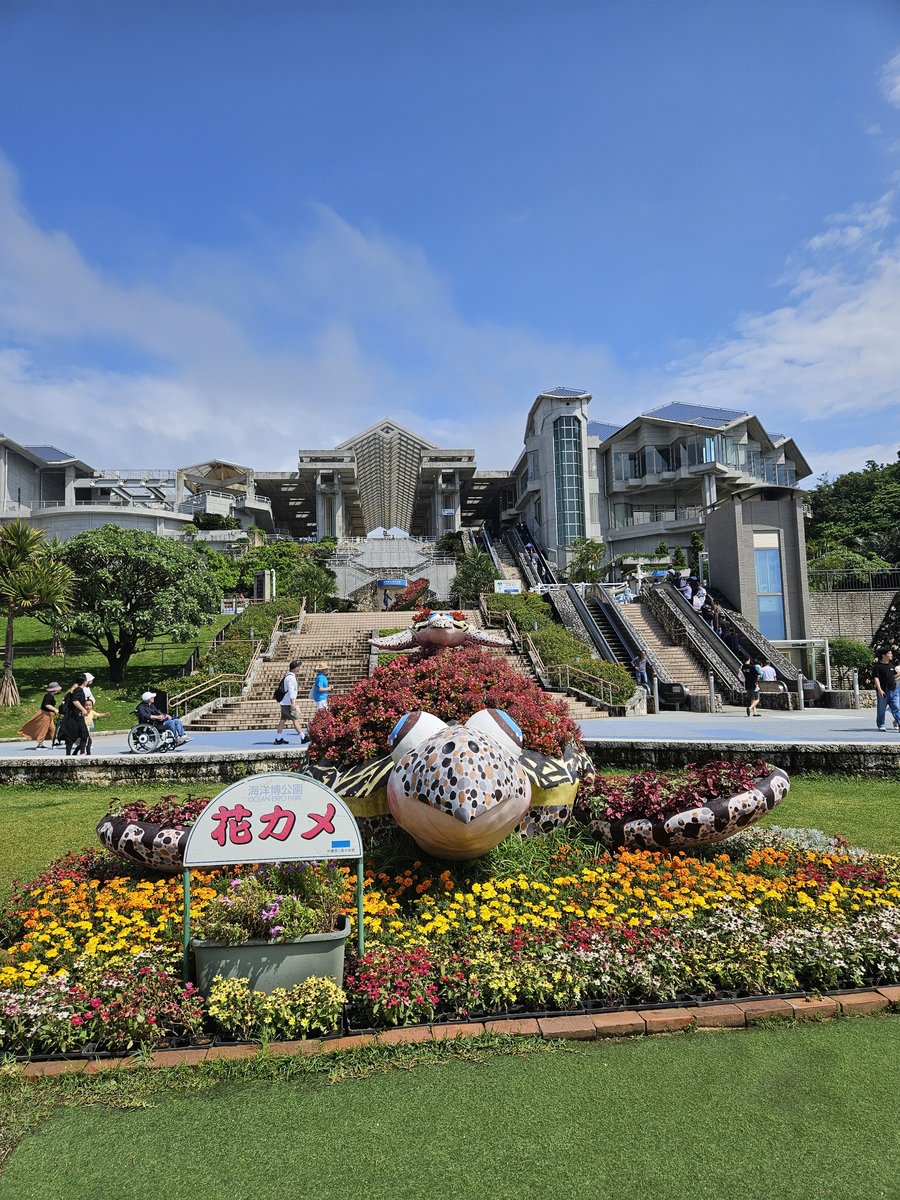 A flower bed with a large sea turtle figure and a sign reading Hana Kame in front of modern buildings, with escalators and steps under a blue sky