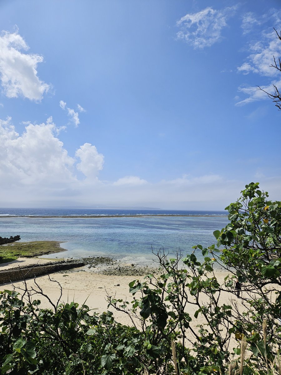 A sandy shore with shallow, pale blue water and a flat horizon under a bright sky, seen between green bushes