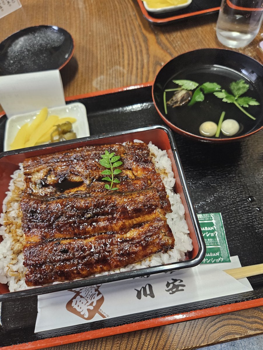 Unaju topped with a sprig of leaves in a red lacquered box, with a clear soup containing eel liver, pickles and a green packet of sansho pepper